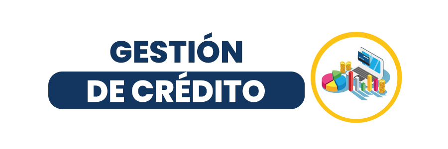 Gestión de Crédito 2025